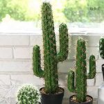 Végétation artificielle de cactus 43 cm, ajout de verdure décorative