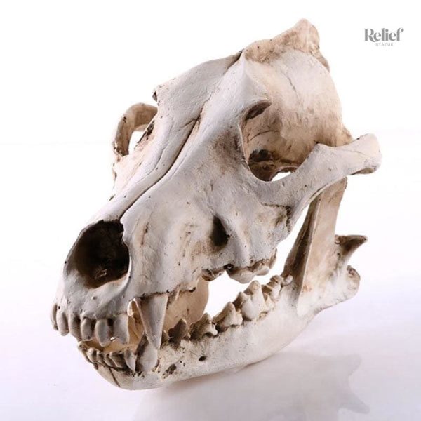 Objet déco original tête de mort chien loup