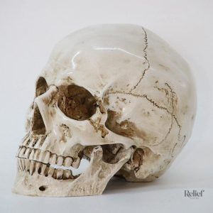 Tête de mort décorative pour un style gothique