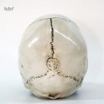 Statue de crâne 16 cm, pièce unique pour la déco