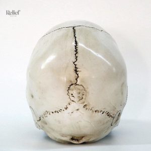 Statue de crâne 16 cm, pièce unique pour la déco