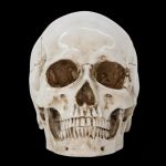 Objet décoratif tête de mort, ajout original
