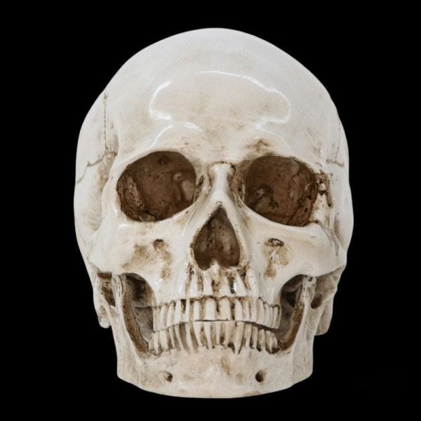 Objet décoratif tête de mort, ajout original