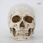 Élément de décoration crâne 16 cm, idée cadeau inédite