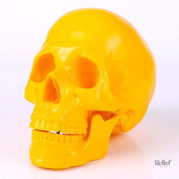 Tête de mort artistique pour intérieur