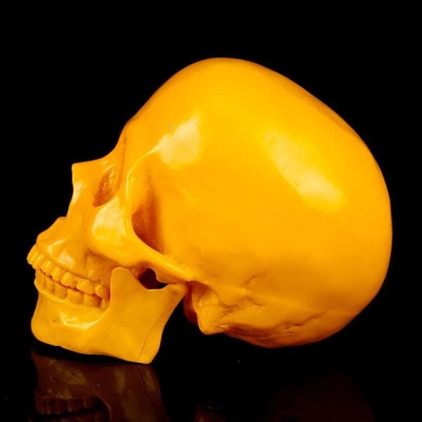 Statue de crâne pour décoration d'Halloween