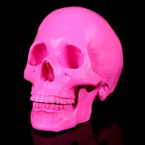 Objets décoratifs tête de mort
