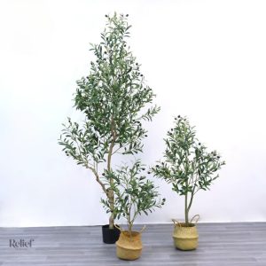 Arbre Olivier noir pot, aspect naturel et réaliste