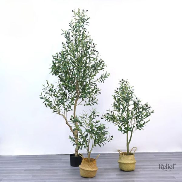 Olivier noir 50 cm pour un style contemporain et chaleureux