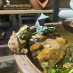 Tortue en pêcheur, statue décorative pour intérieur