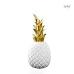 Ananas en matériaux modernes et mat