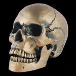 Tête de Mort en bronze, style gothique pour votre intérieur