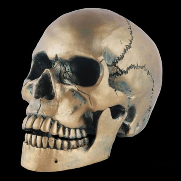 Tête de Mort en bronze, style gothique pour votre intérieur