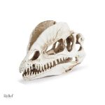 Statue crâne de dinosaure 12 cm décorative