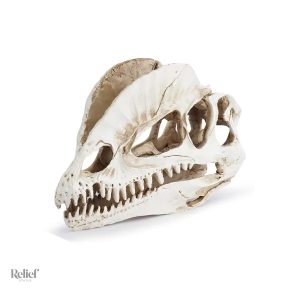 Statue crâne de dinosaure 12 cm décorative