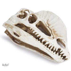 Crâne dinosaure en résine pour décor intérieur