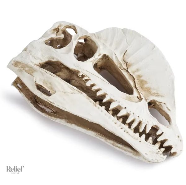 Crâne dinosaure en résine pour décor intérieur