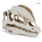 Figurine de dinosaure crâne, 12 cm de hauteur