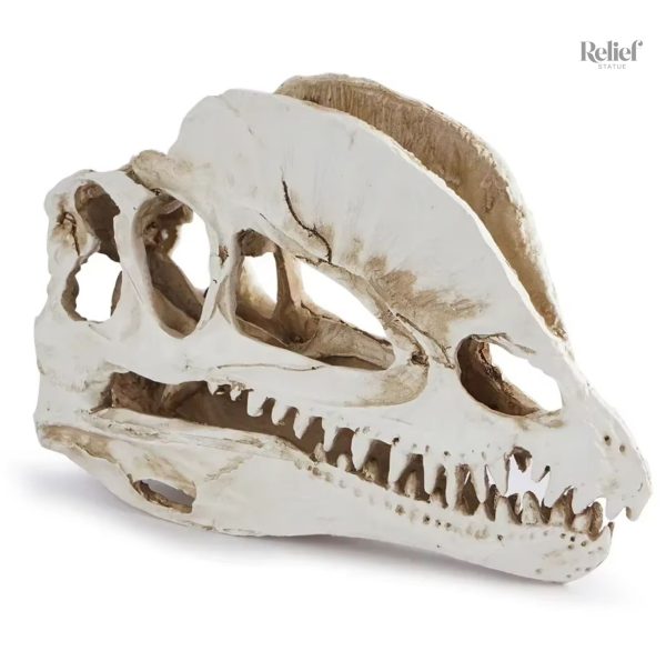 Figurine de dinosaure crâne, 12 cm de hauteur