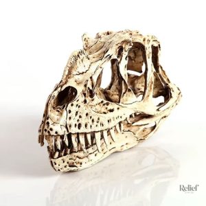 Statue crâne dinosaure Ceratosaurus 11 cm, décor unique