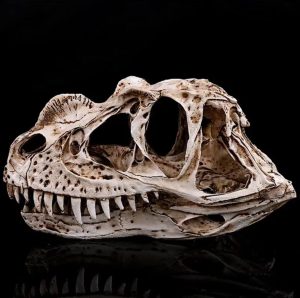 Figurine dinosaure Ceratosaurus, 11 cm de hauteur