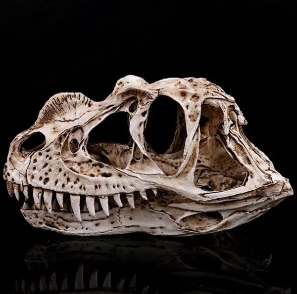 Figurine dinosaure Ceratosaurus, 11 cm de hauteur