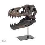 Statue crâne dinosaure Tyrannosaure 11 cm décorative