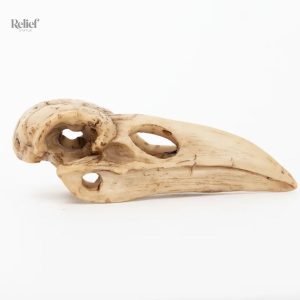 Statue d'oiseau crâne, accessoire unique pour collection