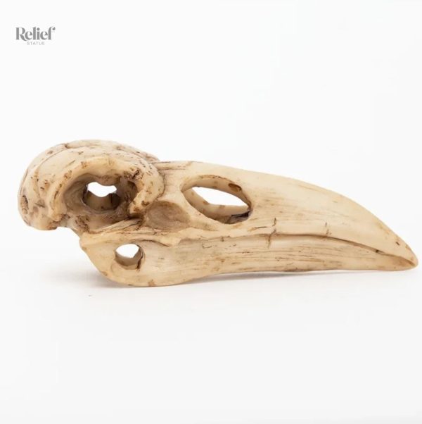 Statue d'oiseau crâne, accessoire unique pour collection