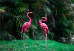 Flamant Rose en métal 66 cm pour intérieur