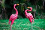 Statue originale de Flamant Rose 58 cm
