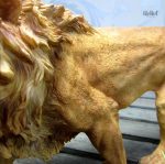 Figurine de lion réaliste taille 24 cm pour collection