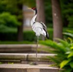 Statue extérieure oiseau, embellissement pour votre espace vert