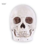 Statue Tête de Mort décorative 14 cm en résine