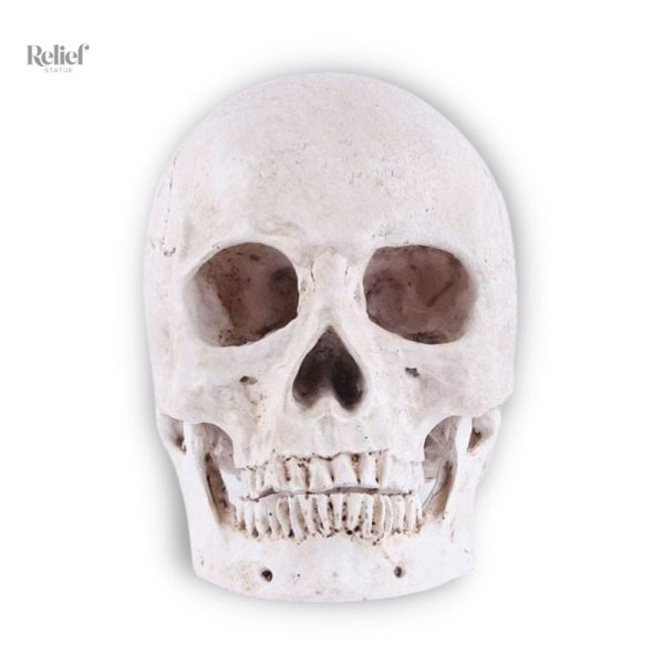 Statue Tête de Mort décorative 14 cm en résine