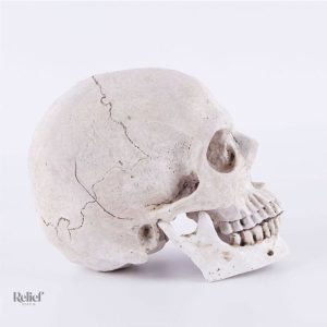 Objet de décoration Tête de Mort élégant 14 cm