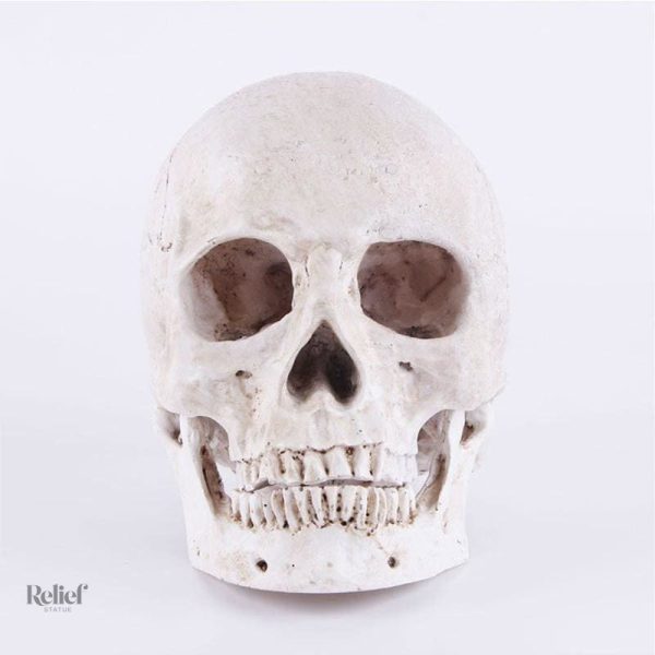 Tête de Mort décorative, ajout unique à votre déco