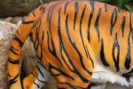Décoration extérieure : tigre 20 cm en résine
