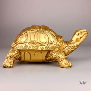 Tortue de jardin, ajout charmant à votre aménagement extérieur