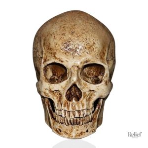 Statue Tête de Mort Crâne Ancien 15 cm décoratif