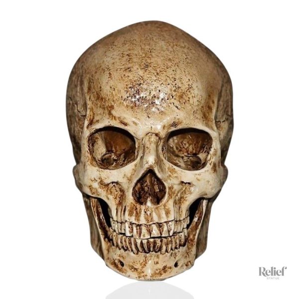tete-de-mort-resine-1 Statue Tête de Mort Crâne Ancien 15 cm décoratif