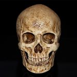 Objet décoratif en forme de crâne, 15 cm de hauteur