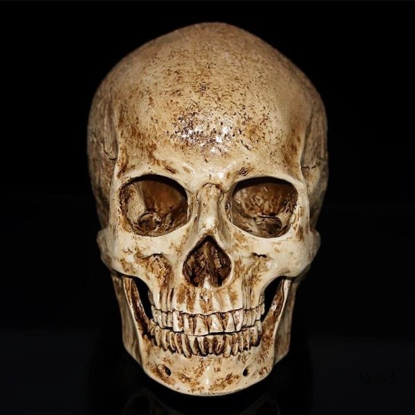 Objet décoratif en forme de crâne, 15 cm de hauteur